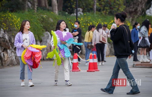 更多武汉市民爱上网球