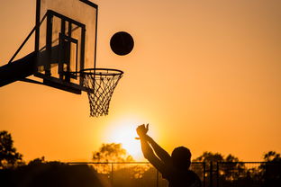 克里斯·杜洪，从NBA到海外联赛的篮球人生