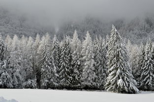 山西部分地区国庆首日惊现降雪